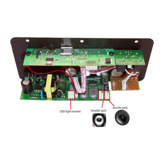 200W Bluetooth 5.0 MP3 kuchaytirgich platasi 12V 24V ikkita mikrofon moduli AMP USB TF FM Subwoofer uchun yoʻqolmaydigan avtomobil musiqasi bas tovushi