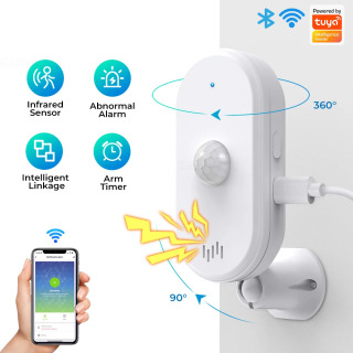 SMATRUL Tuya Smart Wifi Pir Датчик движения Usb Домашняя система безопасности Детектор Сигнализация Приложение Пульт дистанционного управления Синхронизация постановки на охрану Светло-серый