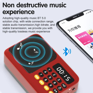 Портативный FM-радиоприемник С LED-дисплеем, USB, TF, MP3-плеером, Встроенным Динамиком, Фонариком, Перезаряжаемый