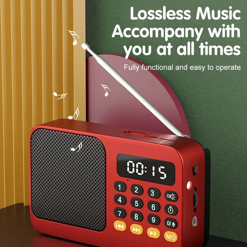 Портативный FM-радиоприемник С LED-дисплеем, USB, TF, MP3-плеером, Встроенным Динамиком, Фонариком, Перезаряжаемый