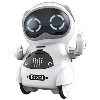 Robot gaplasha oladi, interaktiv dialog, ovozni aniqlash, yozib olish, qoʻshiq aytish va raqsga tushish, hikoya qilish, mini aqlli robot oʻyinchoq