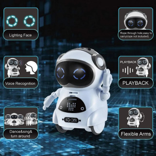 Robot gaplasha oladi, interaktiv dialog, ovozni aniqlash, yozib olish, qoʻshiq aytish va raqsga tushish, hikoya qilish, mini aqlli robot oʻyinchoq