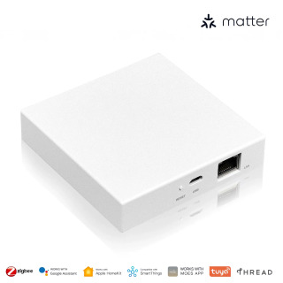 Умный шлюз Tuya Matter и проводной шлюз Tuya Zigbee совместимы с HomeKit, Google Home, Alexa, SmartThings Zemismaryt