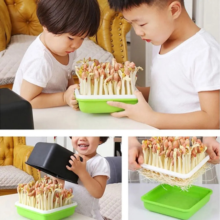 Гидропонная установка для выращивания чеснока без почвы, лоток для рассады, контейнер для проращивания, горшок для проращивания, садовые принадлежности